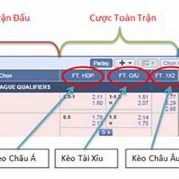 ty le ca cuoc keo bong da