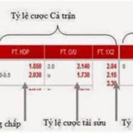 tỷ lệ cược bóng đá đức