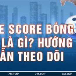 ty so truc tuyen bong da lu