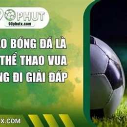 vì sao bóng đá là môn thể thao vua