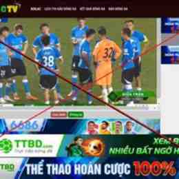 web bong đá