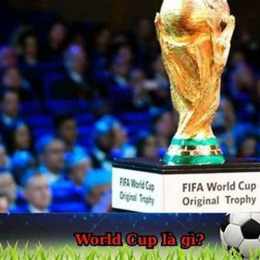 world cup là giải bóng đá gì