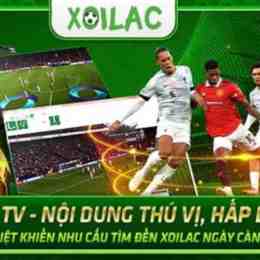 xem bóng đá xôi lạc lương sơn