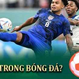 xem do bong da