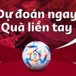 xem dự đoán tỷ số bóng đá